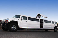 White Bridal Door hummer at dusk in Bayswater